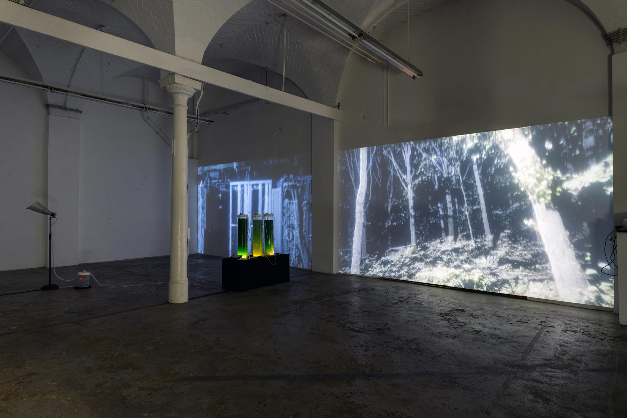 exhibition with 2 video projections and Algae