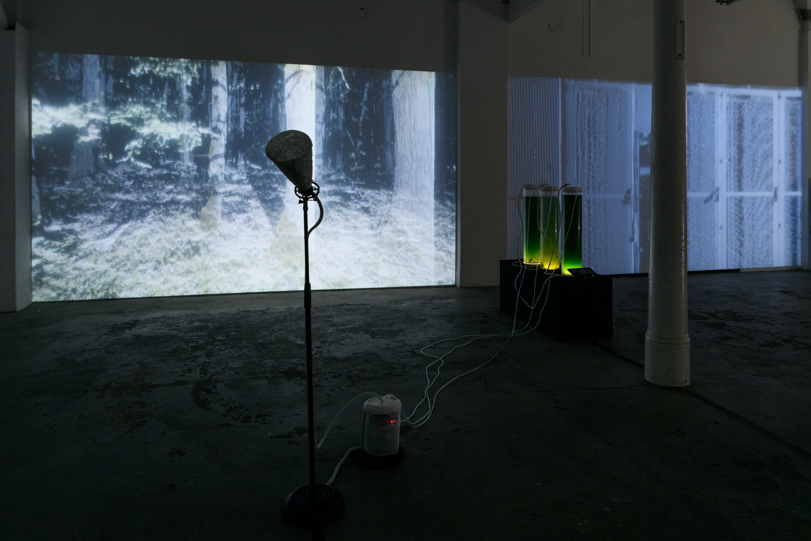 exhibition with 2 video projections and Algae